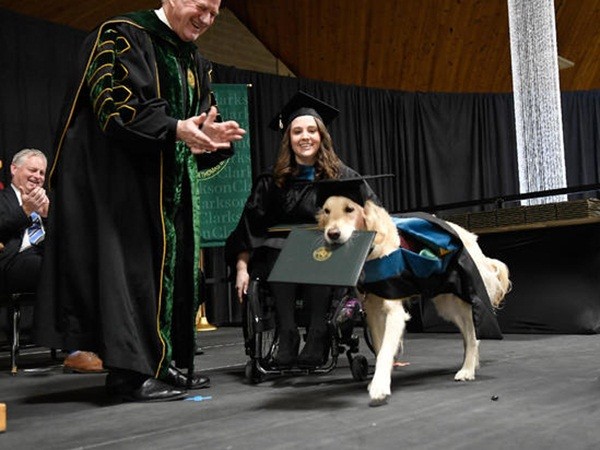 Chú chó được ĐH danh tiếng Mỹ trao bằng tốt nghiệp danh dự