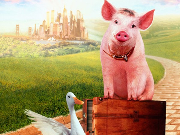 Năm Kỷ Hợi, hãy chia sẻ những điều hay ho mà bạn biết về loài lợn nhé!