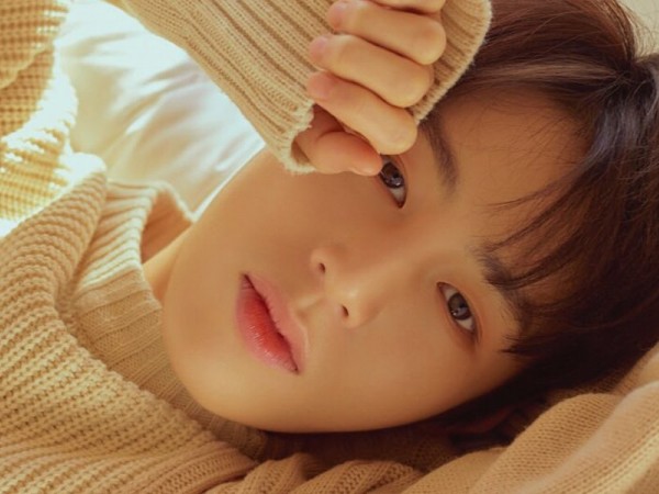 Ha Sung Woon (Wanna One) chính thức công bố tên fandom và màu sắc riêng