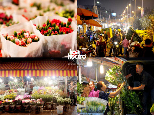Ghé thăm chợ hoa đầu mối lớn nhất Hà Nội dịp Rằm tháng Giêng