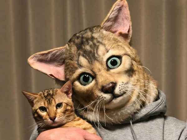 Nhật Bản ra mắt mặt nạ mèo y như thật dành cho hội yêu mèo