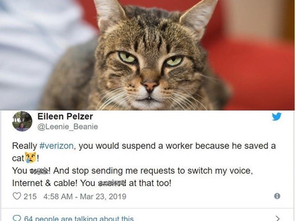 Bị kỷ luật vì cứu mèo, nhân viên Verizon được dân mạng tặng 10.000 USD