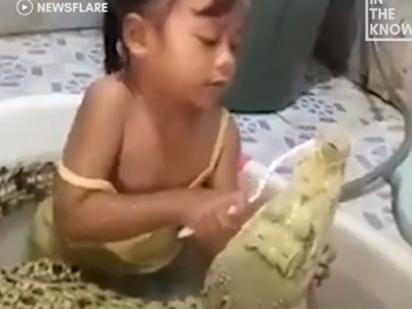  Ngạc nhiên với hình ảnh bé gái tắm và đánh răng cho cá sấu hàng ngày