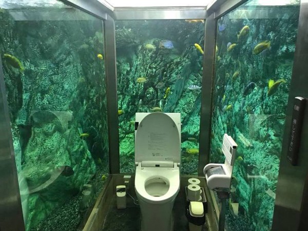 Khám phá nhà vệ sinh thủy cung độc đáo nhất tại Nhật Bản