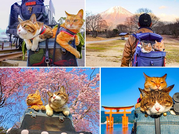 Cận cảnh chuyến du lịch vòng quanh nước Nhật đáng "GATO" của hai em "boss" và "sen"