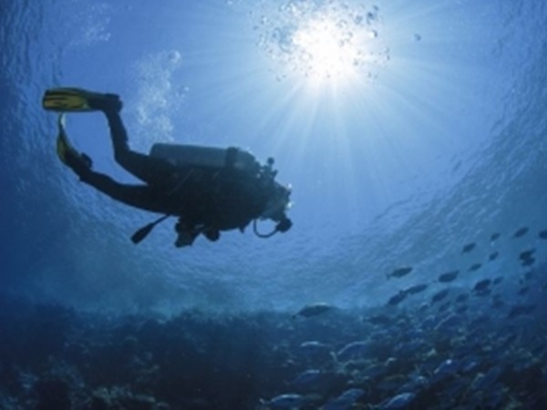 Một kỷ lục thế giới vì môi trường: 633 thợ lặn cùng dọn dẹp dưới… đáy đại dương!