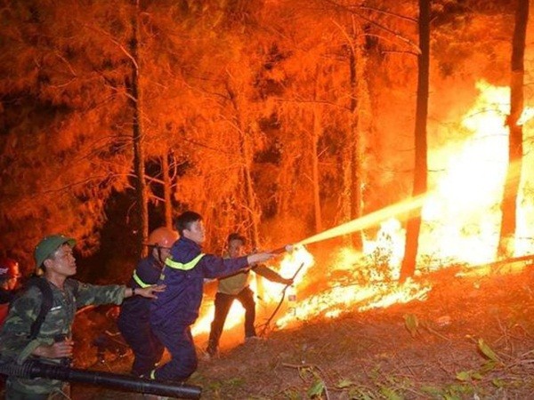 Vụ cháy rừng nghiêm trọng tại Hà Tĩnh: Bất ngờ lời khai nghi phạm!