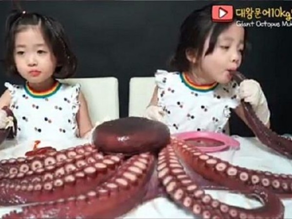 Kênh YouTube Hàn Quốc bị "ném đá" vì bắt con mình ăn bạch tuộc theo cách phản cảm