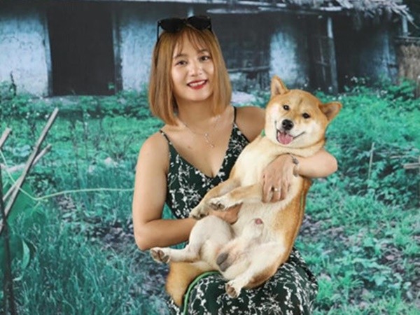 Chú chó Nhật được chọn đóng phim "Cậu Vàng" có gì đặc biệt?