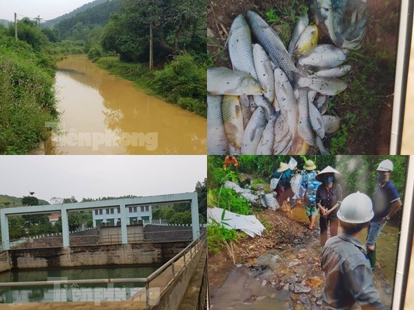 Vạn dân Hà Nội khốn khổ vì nước có mùi lạ: Chất bẩn từ đầu nguồn nước sông Đà?
