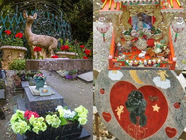 Nghĩa trang chó mèo, nơi minh chứng tình bạn vượt cái chết giữa người và thú cưng