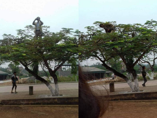 Người thầy có tâm nhất "quả đất", trèo lên tận cành cây chụp ảnh cho học sinh của mình