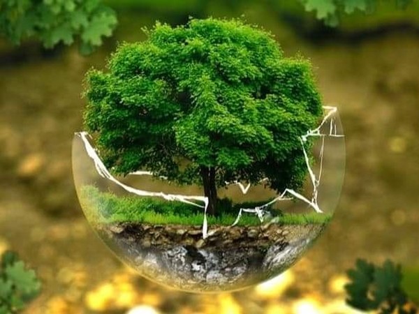 Bảo vệ môi trường không phải là “giải cứu Trái Đất”, mà là tỉnh táo cứu lấy chính chúng ta!