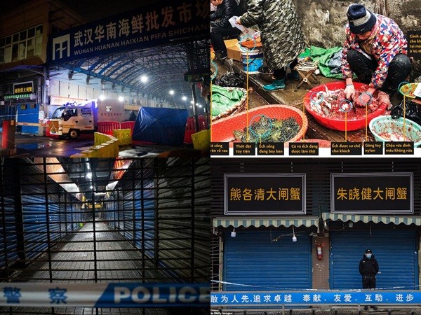 Khu chợ ẩm ướt là nơi bùng phát virus corona ở Vũ Hán