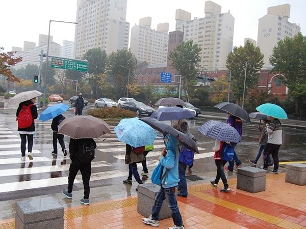 Những bức tranh tuyệt đẹp chỉ xuất hiện khi trời mưa khiến Seoul không bao giờ ảm đạm